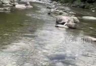 江西鉛山一河道漲水 祖孫三人被沖走不幸身亡