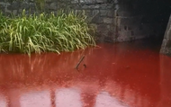 官方通報(bào)杭州一河段“河水呈血紅色”：未發(fā)現(xiàn)污水排放