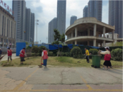 天橋街道：修剪綠化清除雜草 清理衛生美化環境