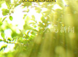 预计40℃高温范围将继续扩大安徽启动重大气象灾害（高温）Ⅳ级应急响应