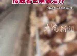 山东聊城阳谷县一养殖场发现炭疽病例 接触者已隔离治疗