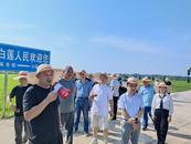 凝聚人大力量 助推鄉村振興 ——懷寧縣金拱鎮開展人大代表視察活動