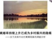 多地農(nóng)村地區(qū)離婚率上升引關(guān)注，機(jī)構(gòu)和學(xué)者分析原因提出對(duì)策