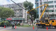巢湖交警聯合園林處清理樹枝給安全“讓路”
