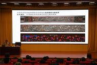 四問武王墩，從“楚墓百科”看“楚地傳奇”