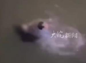 广西民警李燮抢救轻生女孩时不幸牺牲，年仅39岁 曾被评为优秀公务员
