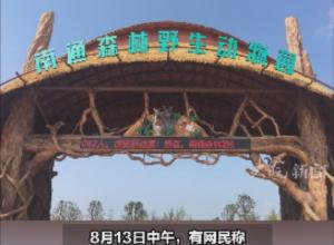 南通森林野生动物园对生病羊驼不管不顾？
动物园：已进行治疗，不存在区别对待