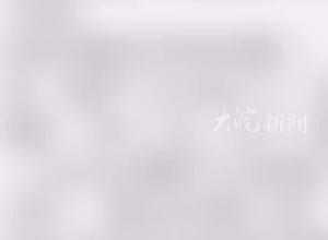 “殡仪馆花篮收费13800元”事件 调查一个多月后最新进展   济南市民政局：已查看监控录像 提出初步解决方案