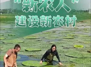 学习贯彻党的二十届三中全会精神，安徽天长：“新农人”建设新农村