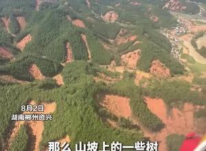 米-171直升机运送物资：从直升机上俯瞰八面山 大面积山体滑坡泥石流令人揪心