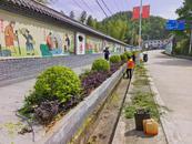 太湖縣牛鎮鎮：環境整治持續發力 鄉村顏值常態在線