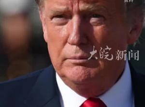 特朗普称若当选愿考虑为马斯克提供美国内阁或顾问职位，马斯克：愿意效劳