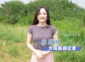“河湖之约  向‘新’同行” 融媒体采访活动深入合肥探寻生态发展