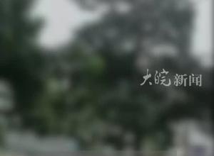 广东中山一小货车 撞向卖菜地摊 致人受伤 镇政府：目前市场正常开放