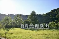 千里躍進(jìn)大別山｜老房子“變身”新民宿 開拓鄉(xiāng)村振興新路徑