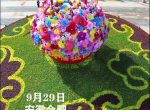 “祝福祖国” 巨型花篮亮相合肥街头