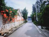 淮北市杜集區高岳街道：人居環境整治不停歇  和美鄉村建設煥新顏