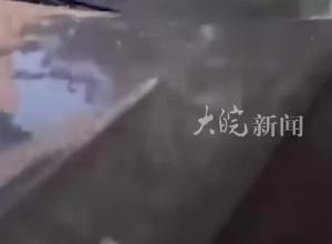 “逆行怎么了？我有急事” 青岛一交警大队辅警因交通违法被停职
