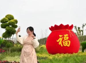 合肥滨湖功能区国庆主题花卉展，引市民打卡观赏