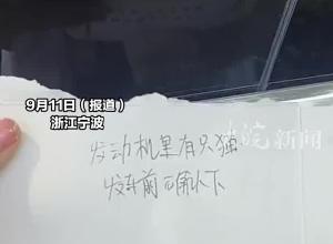 为救被困车内的小猫，车主拆开168万元保时捷，当事人：挽救了一条生命 很值得