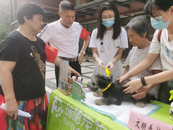 合肥市包河區方興社區佳源北居民區：文明養犬 共建和諧社區