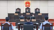 全國首例！非法引進外來入侵物種刑事案件一審宣判