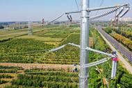 安徽渦陽：秋季電網建設忙