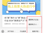安徽省電力行業(yè)2024“新質(zhì)生產(chǎn)力”評(píng)選活動(dòng)線上投票火熱開(kāi)啟！