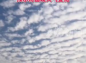 合肥天空出现排列整齐云块 气象专家：这是透光高积云 预示将出现天气变化