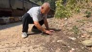 河南嵩縣300萬只蜜蜂離奇傷亡后續：省市縣三級政府部門介入，死因仍無法確定