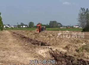 安徽霍邱农田发现大量古钱币，钱币多为宋代样式，因建设高标准农田被挖掘，已被运往霍邱县博物馆待鉴定