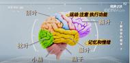 新研究：深度睡眠有助于預防“老年癡呆”