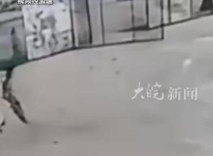 甘肃2岁女童走失4天多，独自走出大门后将门合上，当时爷爷在做饭 奶奶在喂猪