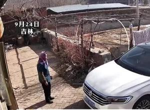 摄像头记录了半年来院子的变化 2月中旬母亲走了 5月初父亲走了 短短数月 小院内杂草丛生 “看到院子长草了 瞬间就明白了”