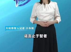 大皖一周辟谣 | 2024年第三十四期