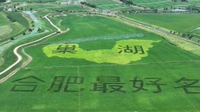 河湖之約 向“新”同行| 融媒體采訪活動深入合肥探尋生態(tài)發(fā)展