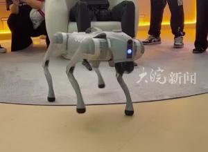 大皖新闻记者提前探营2024上海外滩大会：新款机器狗还会后空翻