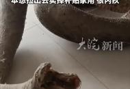 亳州大叔運巨蟒標本引關注 當事人發(fā)聲：蛇皮在家有七八年了 是學校標本室“清理垃圾扔掉的” 本想拉出去賣掉補貼家用 很內疚