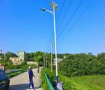 懷寧縣月山鎮大橋村：黨建引領照亮美麗鄉村路