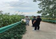楊廟鎮(zhèn)門東王村：小小護(hù)欄預(yù)防大隱患