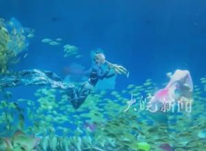 水下版“鲤鱼化龙” 合肥海洋世界“十一”演出上新
