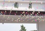 千里躍進大別山｜菊花開出“致富花” 小流域治理帶來大變化