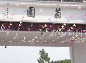 千里跃进大别山｜菊花开出“致富花” 小流域治理带来大变化
