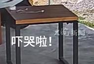 大蛇突然出現爬進房間 男子被嚇得跳上沙發尖叫飛奔出門 “不敢走地面 當時已經沒有退路了”
