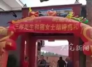 河南一男子为博流量“和猪办婚礼”，官方回应：哗众取宠 已被处罚