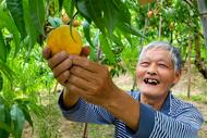 歙縣桂林鎮(zhèn)：點“果”成金激活鄉(xiāng)村振興引擎