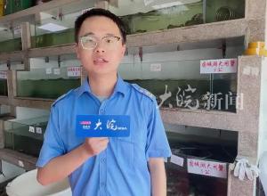 “蟹”逅中秋 外地大闸蟹抢鲜合肥市场   本地批量上市还要等一等
