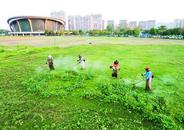 巢湖市：球場美容