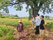 懷寧縣江鎮鎮：“秸”盡全力禁燒 守護藍天凈土