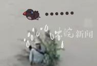 男子釣魚時因河水上漲被困河中央，水上機器人不到5分鐘完成救援